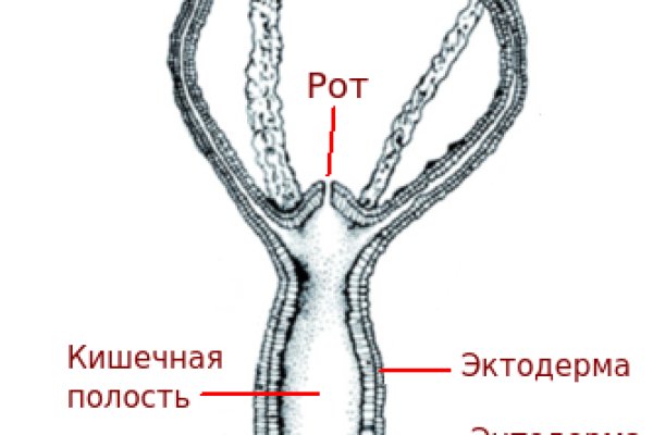 Ссылка на блэк спрут официальная в тор