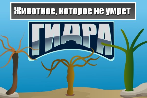 Блэк спрут тиндер