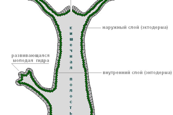 Блэк спрут маркет