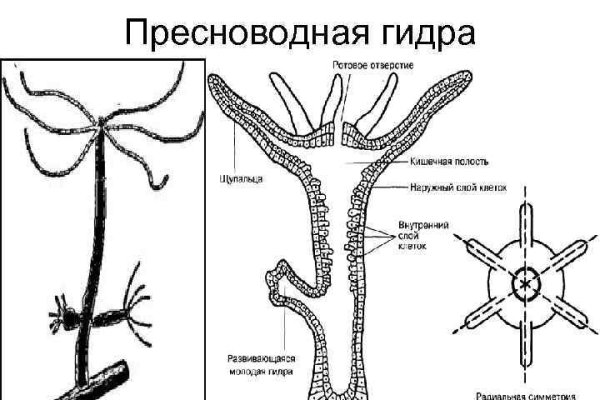 Купить аккаунт blacksprut