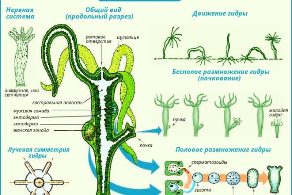 Актуальные ссылки блэкспрут blacksprut 2 web in