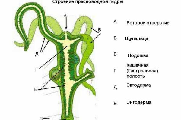 Как вывести деньги с блэкспрута